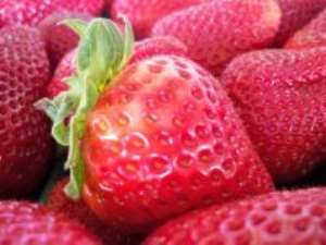 Top Foods to Boost Brain Power
