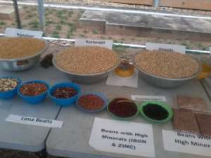 Commercializing agricultural research for high productivity in Ghana