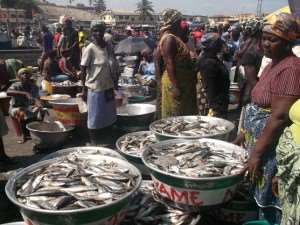 Landing Committee Gives Loans To Fishmongers