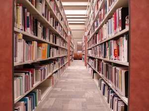 Government asked to provide more libraries