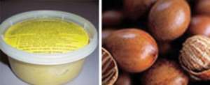 Shea butter made in Ghana left, Shea nuts right