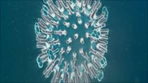 Experts are urging people to have the vaccine in the UK to protect them against flu viruses