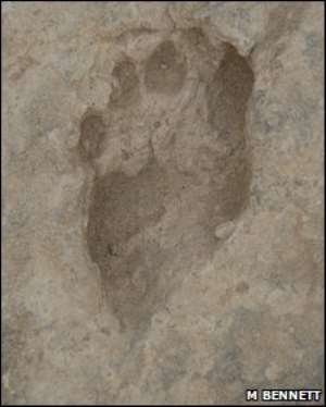 Earliest 'human footprints' found