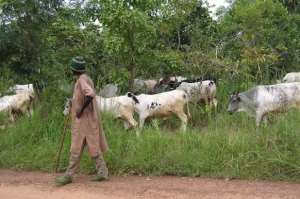 No Fulani Man Was Chased Out of Enugu - Group Debunks Video Report