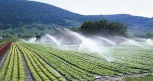 Ghana's Irrigation Potential Remains Untapped