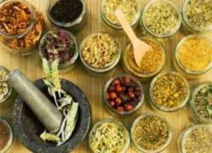 Study reveals Ghanaian traditional medicines show promising results against tropical diseases