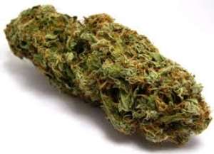 Drug peddler jailed 18 years