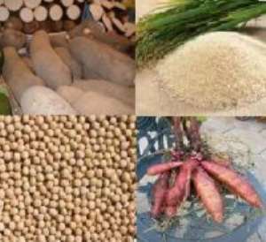 Consortium To Set Up Farms In Ghana