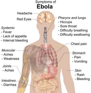 US Lauds Ghanas Ebola Preparedness Plan