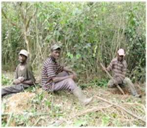 Jomoro farmers unhappy with delayed compensation