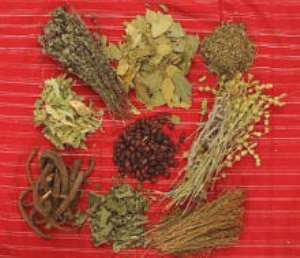 Herbal medicines can cure many diseases, My take