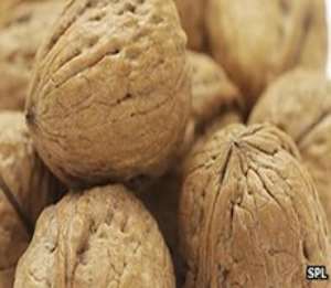 Could two handfuls of walnuts a day keep the fertility doctor away?