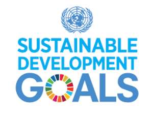 In Pursuit Of A New Global Agenda: Understanding the Sustainable Development Goals SDGs