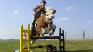 15-year-old girl trains a cow to jump