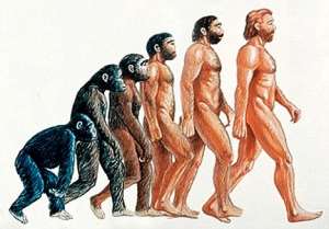 CREATION OR EVOLUTION