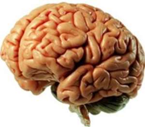 Epilepsy disrupts electrical brain activity causing seizures. The the new device trialled in Australia could help patients manage their symptoms more effectively
