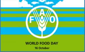 ARTICLE in lead up to World Food Day 2008