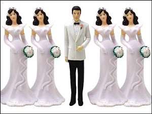 Why Polygamy?