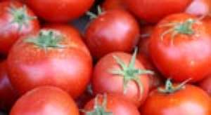 Tomato Farmers, Trusty Foods Sign MoU
