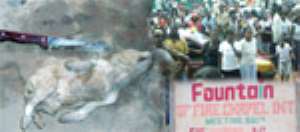 I Buried Dog AliveSays Prophet Nti Boahen