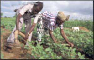 Major Boost For Agric Sector