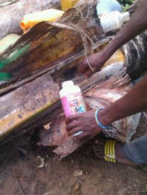 Danger: Farmers Using DDT To Tap Palm Wine