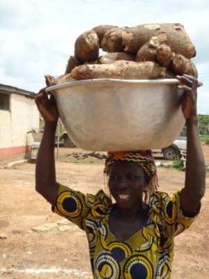 IFAD backs cassava flour in bread and confectionaries initiative