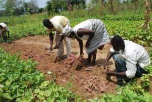 Conference on young people, farming  food holds in Accra