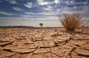 Climate Change Hampering Our Toil—IFAD
