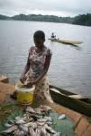 Barekese Dam Expansion works near completion