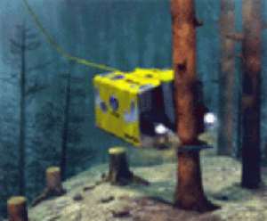 The deep underwater Sawfish will be used on the Volta Lake to cut tree stumps