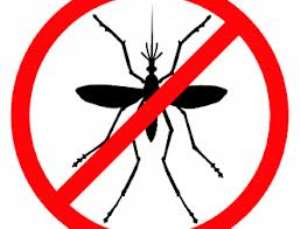 World Malaria Day.