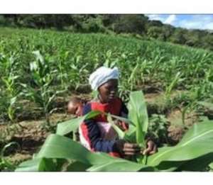 Prioritise smallholder agriculture development; farmers tell gov't