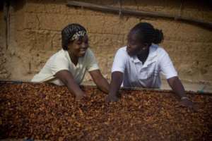 LBCs want COCOBOD to urgently review producer price of cocoa