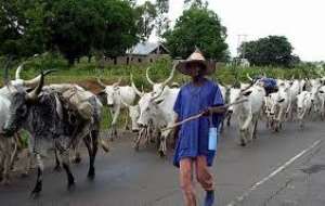 Fulani Herdsmen Invade Krofu