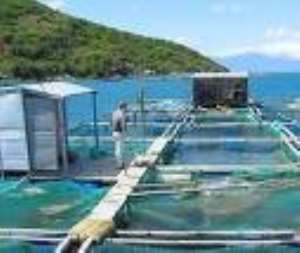 Ghana and Israel sign Aquaculture agreement