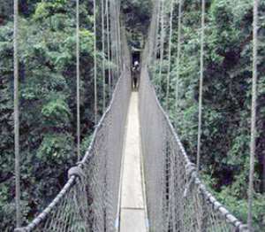 Kakum Park: A Safe Place For Holiday-makers