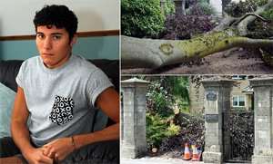 Injured: Student Nick Boulton, 20, was hospitalised after a falling 300-year-old tree fell on his head
