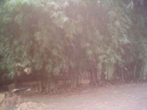 The Bamboo Grove Resort where the formation of a rainbow is discovered at VakpoThe new computer laboratory built by the PTA of the Ho Dome St. Cecilia School Complex