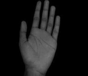 What your hand says about your penis