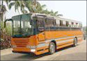 Sex On Kufuor Bus