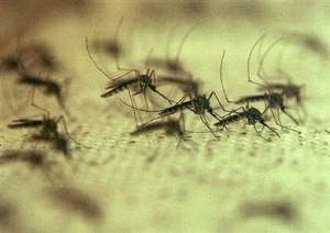 AASU On World Malaria Day 2014