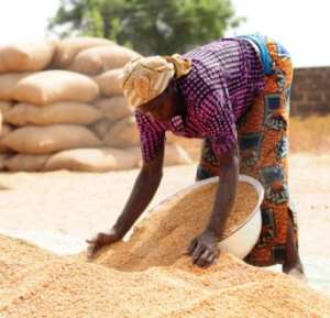 Flooding Threatens Nigeria's Rice Production