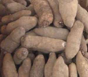Ghana Is First Country To Launch National Yam Strategy