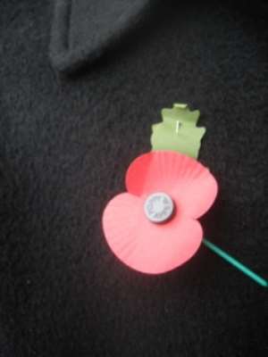A poppy on a lapel.