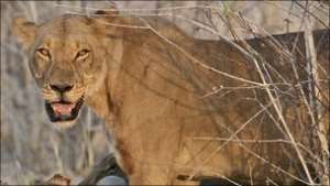 Familys zoo adventure makes big screen