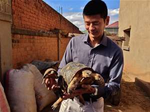 Al Jazeeras 101 East Reveals Madagascar's Illegal Wildlife Trade