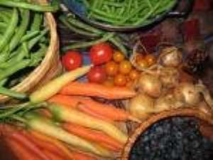 Northern Rural Growth Programme to increase agricultural yields