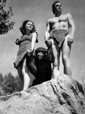 Cheetah was in the Tarzan movies alongside Maureen O'Sullivan and Johnny Weissmuller, according to the sanctuary where he lived