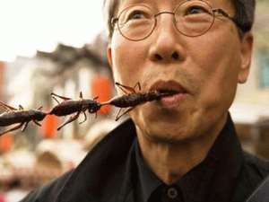 UN Urges World To Eat More Insects
